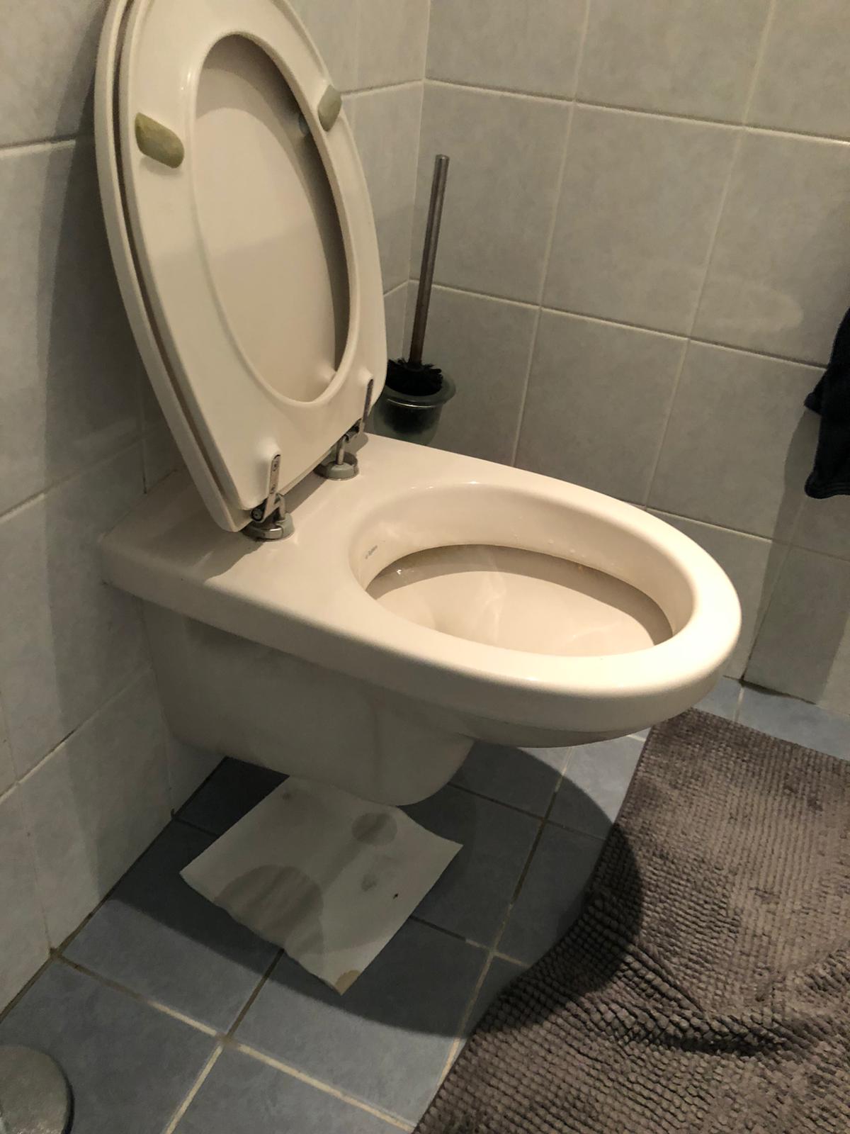 hangtoilet Zaltbommel